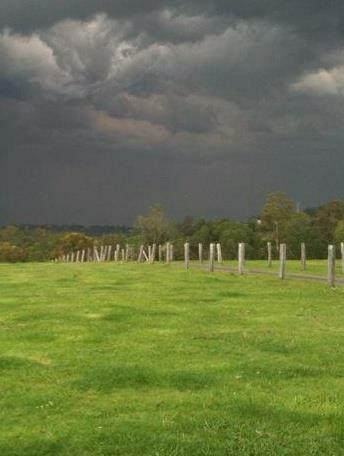Bannerfield Agistment – pasture view