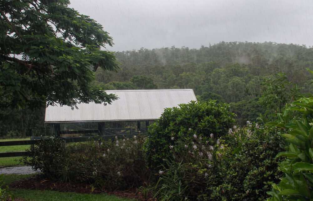Bannerfield Agistment – pasture Brookfield